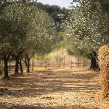 فيلا Serre في Casa Agricola Scorziello المظهر الخارجي الصورة