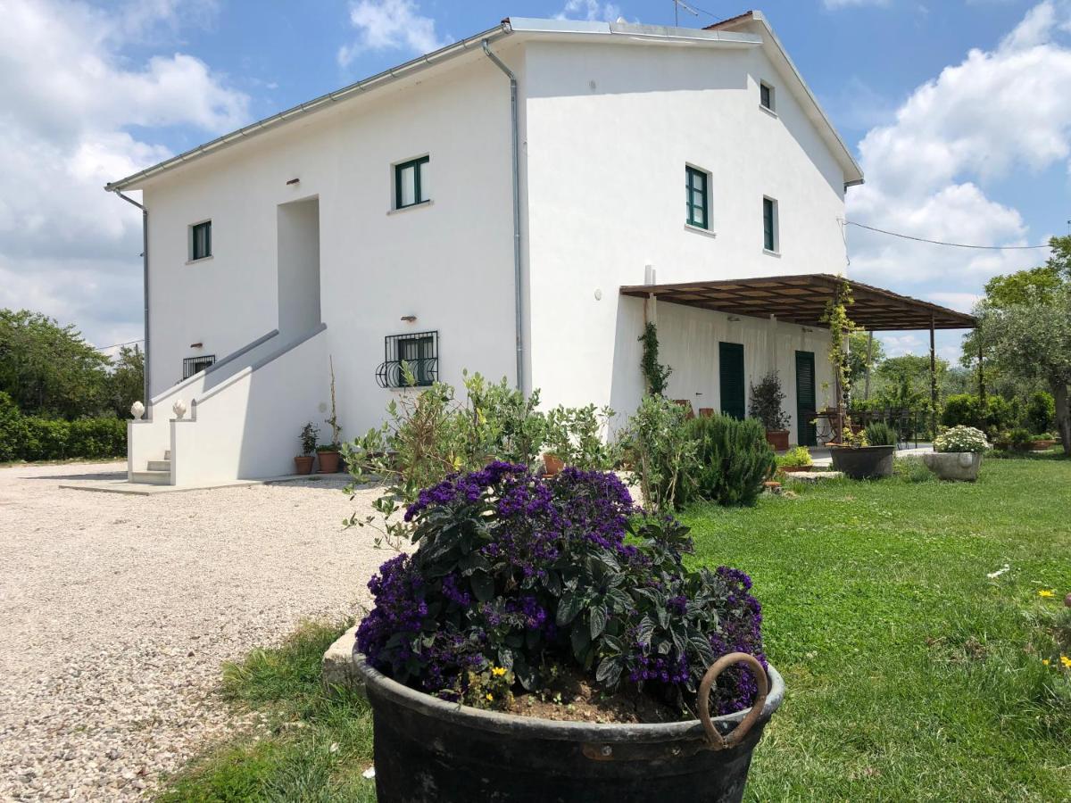 فيلا Casa Agricola Scorziello Serre  المظهر الخارجي الصورة