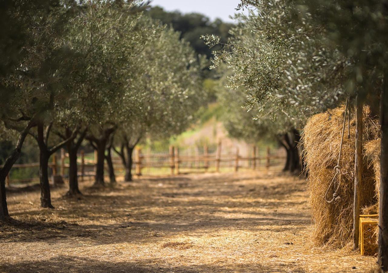 فيلا Serre في Casa Agricola Scorziello المظهر الخارجي الصورة